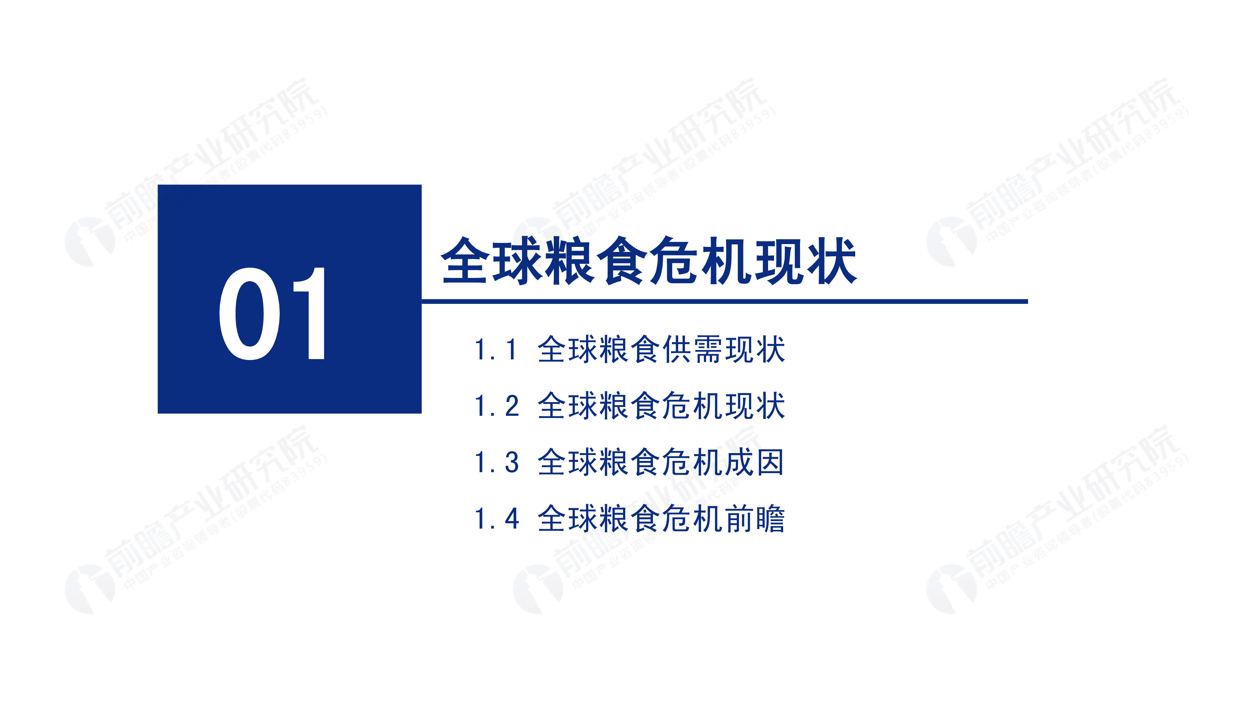 前瞻:全球粮食危机背景下的中国粮食安全